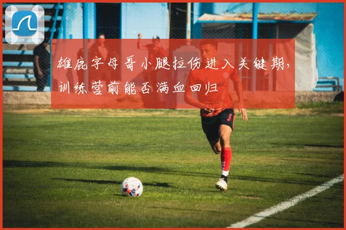 雄鹿字母哥小腿拉伤进入关键期，训练营前能否满血回归